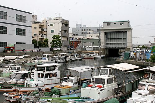 新川運河（部分）の現況（右方に見える水門が築島水門，その外は神戸港の水面，中央やや左に樹木が見えるが，その奥が現築島寺）