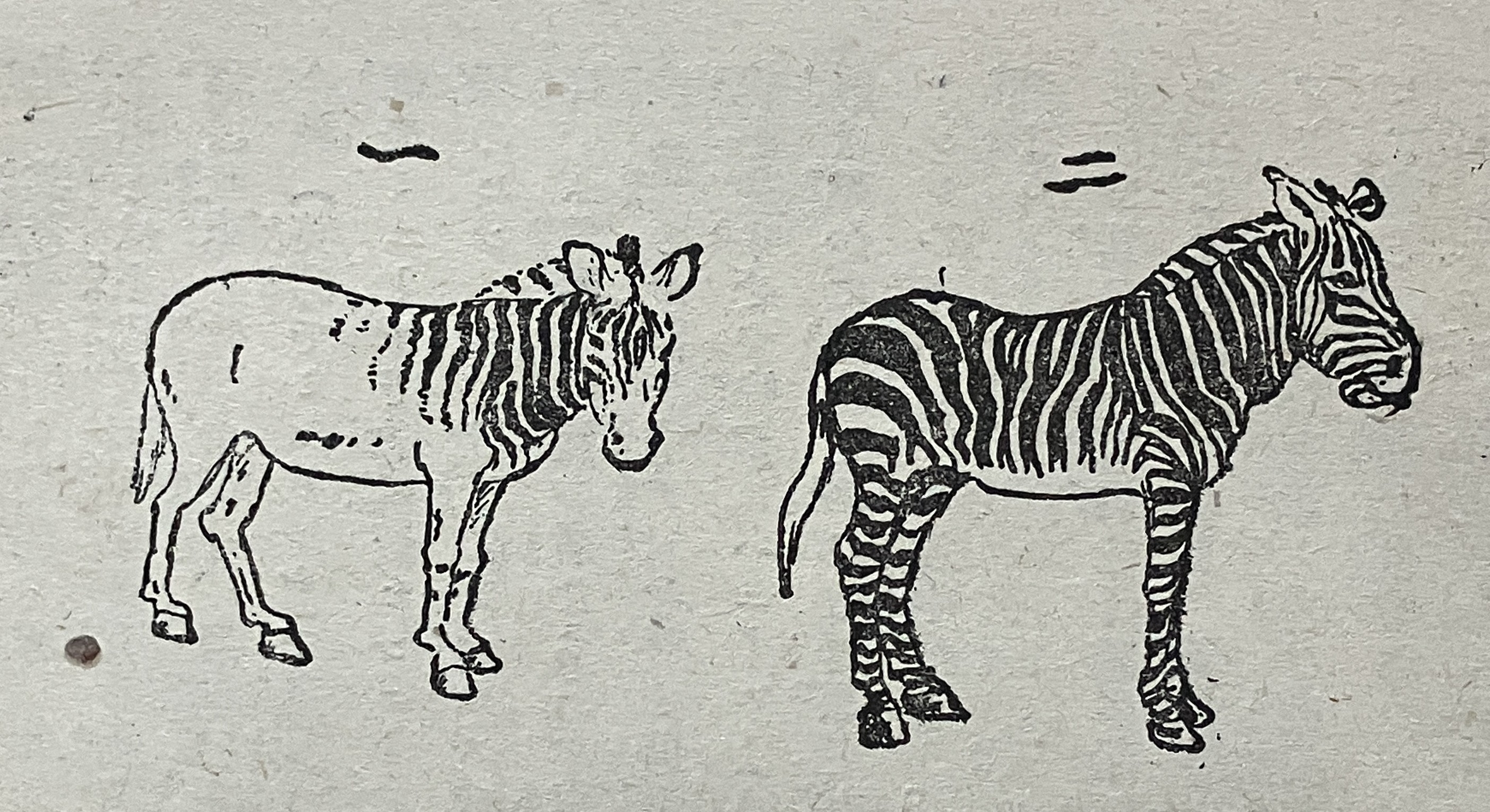 第6図　一 クアッガ　二 ゼブラ