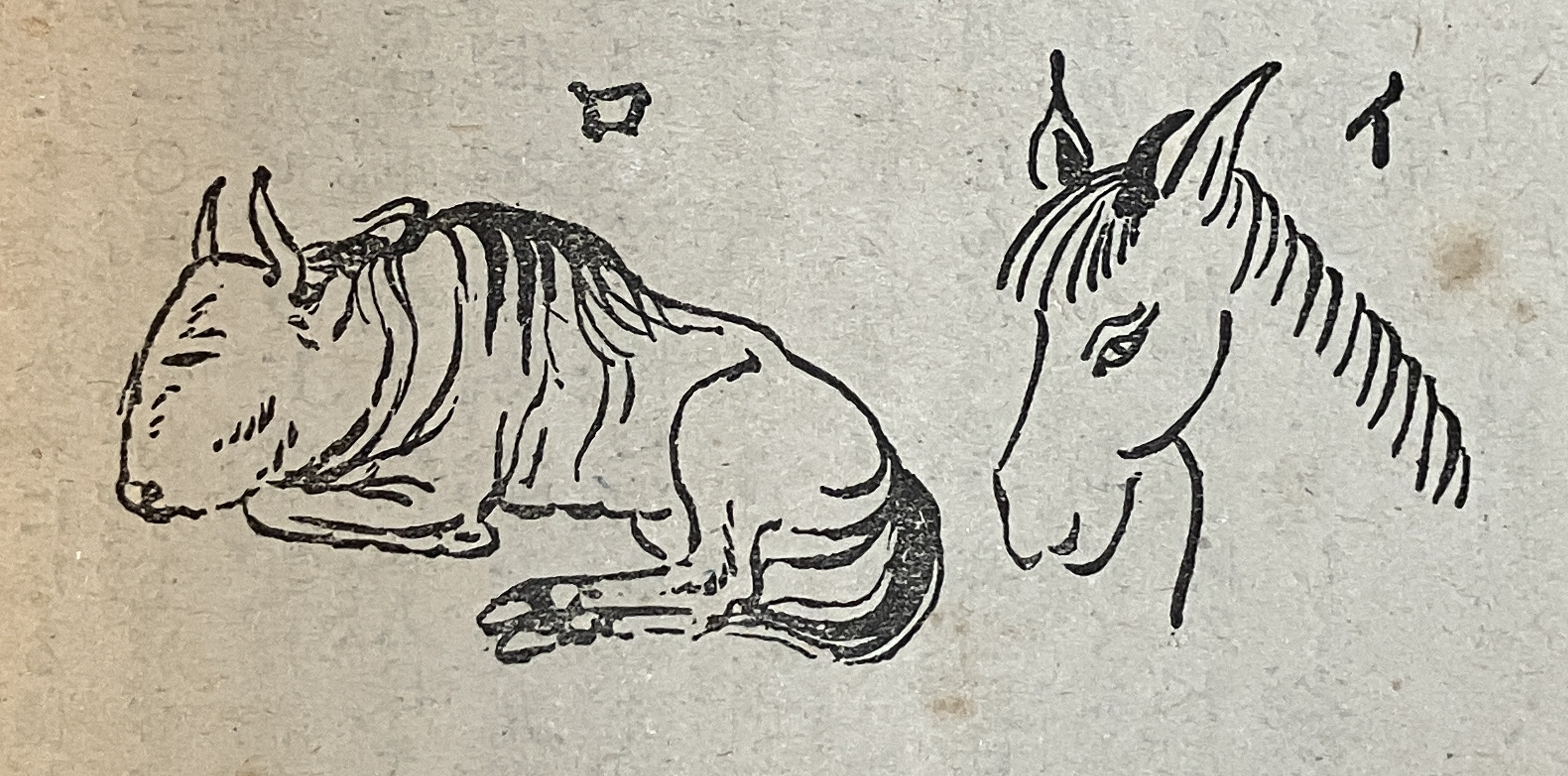 第8図　イ　ツノの生えた馬、ロ　ツノ馬（ヌー）